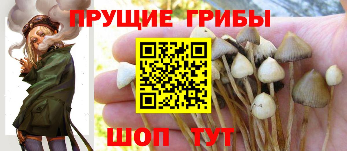 продажа наркотиков  Вход с VPN  Артём  Галлюциногенные грибы мицелий 